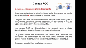 HLBI406_Transferts membranaires_CM8 diapo 257 à 292