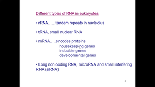 4.HMBS218-Transcription 1