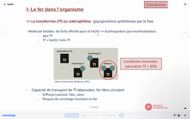 DFGSM2 UE Hématologie : Aspects fondamentaux - CM8 - Dr C. Delaby - 29/09/2025