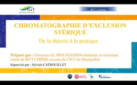 Cours Chromatographie d'exclusion stérique