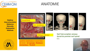 Techniques EPI  et Raccourcissement des muscles  DROITS CERVICAUX
