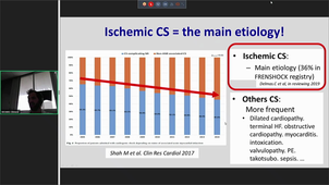 DU Battistella Insuffisance Cardiaque Grave, Choc cardiotonique Dr C Delmas, 25 Novembre 2019