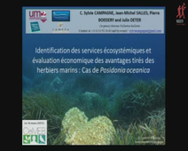 Journée Scientifique – AXE 3 LABEX CEMEB - Sylvie Campagne 'Services écosystémiques et avantages tirés des herbiers marins'