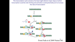 4.HMBS218-Transcription2