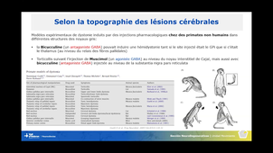 DU PEDIATROS 14/01/2026 P2