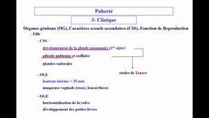 Hormonologie reproduction - CM11 et CM13