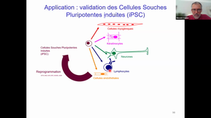 Transcriptomics-Part3.mp4