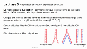 DU Biologie- De l'ADN aux protéines-Parties 2 et 3_BANULS