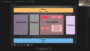 DIU TMUS COURS DU LUNDI 16 MARS APRES MIDI.mp4