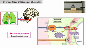 S2-UE4-Physiologie Humaine-Pr Passerieux-20/01/25