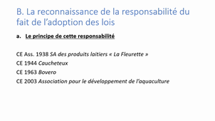 Chapitre 3 Section 2 Responsabilité sans faute fondée sur la rupture d'égalité devant les charges publiques