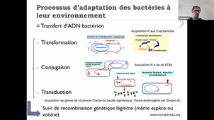 (04/11/2020) 14h Agent infectieux générale ED C. CARRIERE - Y.DUMONT - S. GOBREUIL	Amphi Rabelais