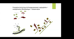 GMT20260318-155157_Recording_1832x982(2).mp4