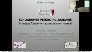 DIU TMUS / Dr Bonnec Échographie pulmonaire 1