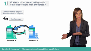 MOOC MAPS - S1V1 - Alliances, partenariats, coopétition : les définitions - Estelle - Pellegrin Boucher