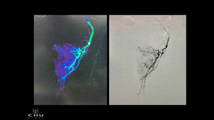 2026.01.16 APRES MIDI.mp4