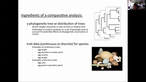 HMBE108. CM1 Analyses comparatives