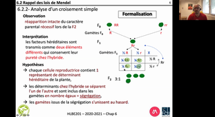 HLBE201-Chap 6-cours 14