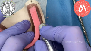 2023VB_M.O. MAND.mp4