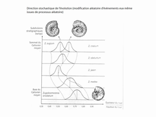 HLBE601 Lihoreau chapitre 1