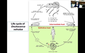 TU15- Black Files Introduction Medical and Veterinary - Dr A. SAEUNG - 18-03-2026.mp4