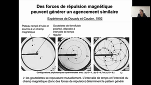 HMBA303-Guyomarch-CM3&4-Phyllotaxie_Hormone et Mécanique-181120-ENREGISTREMENT
