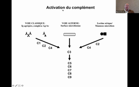 DFASM2 MIF BO 12/01/2021	10:00	12:00	BEST OF IMMUNOLOGIE CLINIQUE ET BIOLOGIQUE Echanges, actualités et points-clés	CORBEAU P.	Amphi UPM
