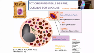 DFGSM2 - Hématologie aspects fondamentaux - Charles HERBAUX - CM2