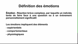 DFGSM2 - I. Conejero et L. Lefevre - Régulation des émotions des cognitions sociales et de l'humeur - 14/04/2025