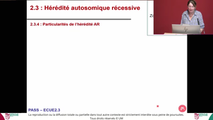 UE2_ECUE2.3_Pr.COSSEE_Les_différents_types_d'hérédités_07/11/2024