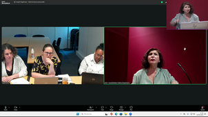 DFGSM2 UE APPAREIL NEUROSENSORIEL PARTIE 2 CM30 BASES BIOPHYSIQUES DE L'AUDITION ET EXPLORATIONS FONCTIONNELLES AUDITIVES (ASPECTS PHYSIQUES ET PHYSIOLOGIQUE