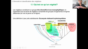 CM1 Organes et Tissus végétaux - partie 1