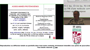 UE1-LEHMANN_20250910.m4v