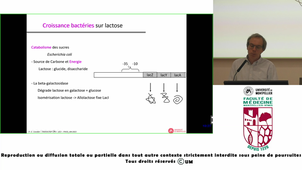 UE2_CORNILLOT_20251023-075714Z_S1R1.m4v