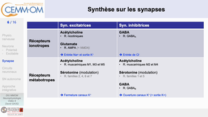 NeurophysiologieBases_video6_Gasq_2024.mp4