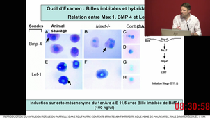 S2UE9 - Collart-Dutilleul - 1 - 20240222