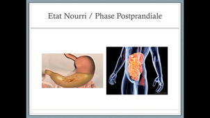 Cours 7 Physiologie de l'homme Nourri à Jeun.mp4