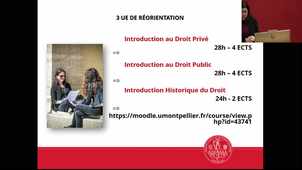 Présentation Mineures Disciplinaires: Droit