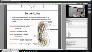 DU_PEC_Obesite_28022019_SOUCHE_Les bases anatomiques du système digestif