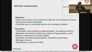 S1UE3_ECUE_3_1_DELBECQ_23092021