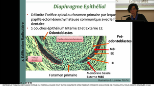 S2_UE9_Moulis_20220301