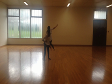 CT L3 Danse