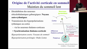 DFGSM2 - Pr.Dauvilliers - (1) Neurophysiologie des états de veille et de sommeil; (2) Régulation du sommeil normal, horloge biologique - 11/02/2025