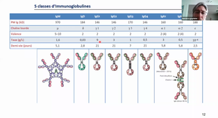 DFGSM 2 L. Guglielmi  CM 3 et 6 TS Immuno
