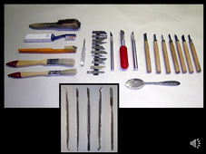 HAT103T Paléontologie