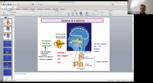 14/04/2022 09h-11h Amphi d’anatomie  Enseignants et étudiants chez eux DFGSM2 - Appareil digestif - CM13 - MATECKI Stéphan