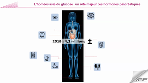 DU DIABETOLOGIE - Enregistrements cours - Jeudi 23 novembre 2023.mp4