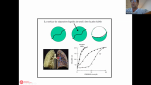 01/09/2022	15h	16h30	Appareil respiratoire - CM3	Pr HAYOT Maurice	Amphi UPM	DFGSM3