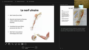 DFGSM2 UE - Appareil Locomoteur - CM5 - Dr Y. Yahiaoui - 24/09/2025