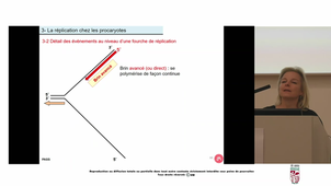 UE2_TAULAN_20251023-075443Z_S1R1_2024-10-23_10-06-49.228594.mp4